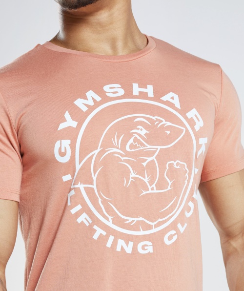 Camiseta Legada Gymshark Nevada Rosa
