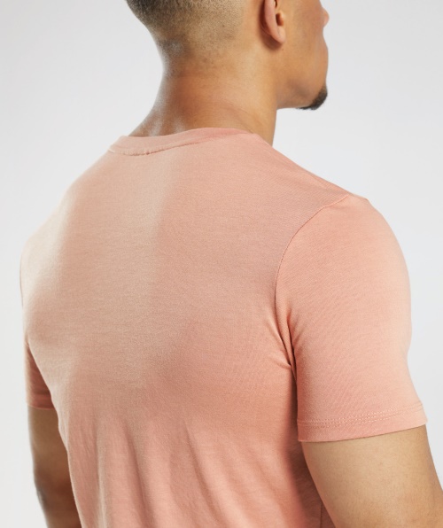 Camiseta Legada Gymshark Nevada Rosa