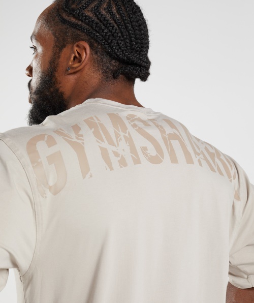 Camiseta Gymshark Power Seixo Cinza