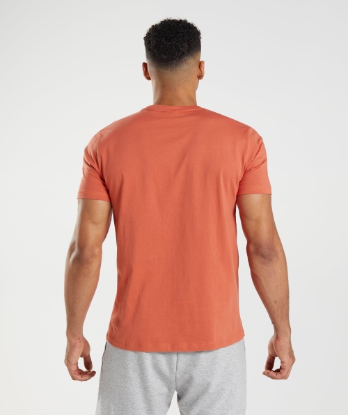 Camiseta Com Preenchimento De Tubarão Gymshark Vermelho Tempestade