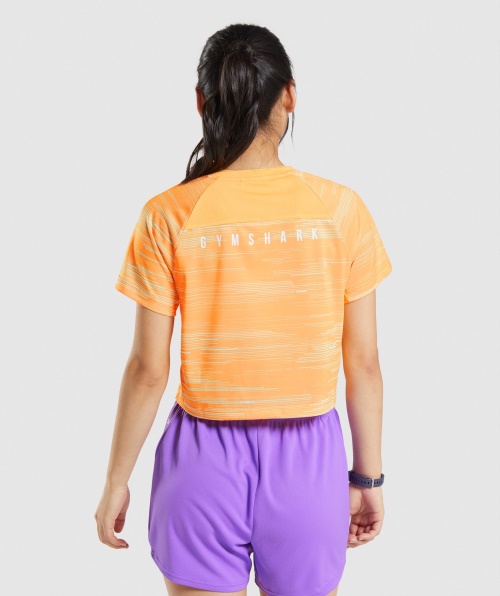Camiseta Midi Esporte Gymshark Estampa Laranja