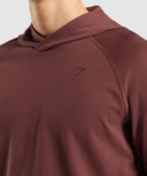 Moletom Com Capuz Gymshark Studio Marrom Cereja