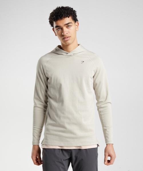 Moletom Com Capuz Gymshark Studio Cinza