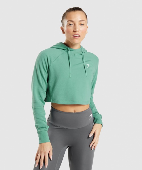 Moletom Cropped De Treino Gymshark Verde Alpino