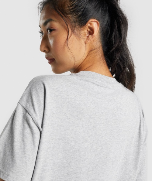 Camiseta De Treino Grande Gymshark Cinza Claro Marl