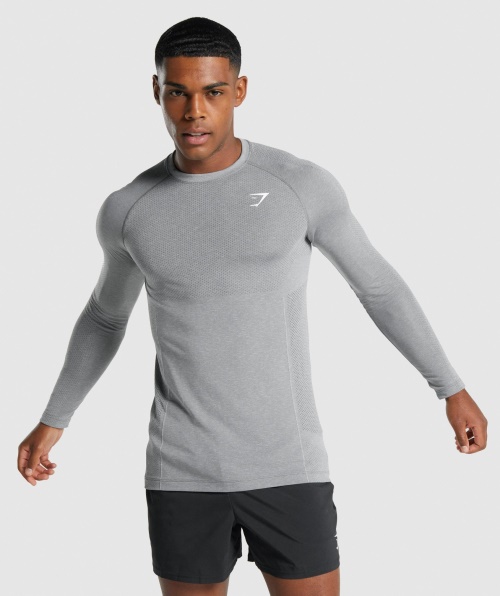 Gymshark Vital Light Sem Costura Camiseta Manga Longa Carvão Marl