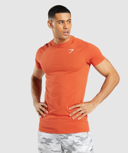Gymshark Vital Light Camiseta Sem Costura Mamão Laranja Marl