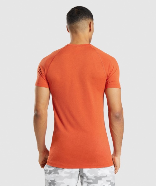 Gymshark Vital Light Camiseta Sem Costura Mamão Laranja Marl
