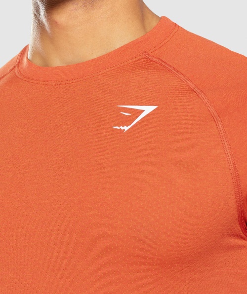 Gymshark Vital Light Camiseta Sem Costura Mamão Laranja Marl