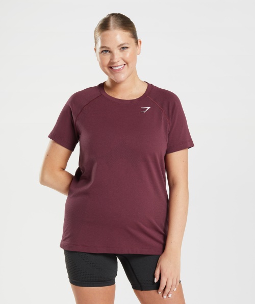 Gymshark Vital Seamless 2.0 Light T-shirt Assada Marrom Marl