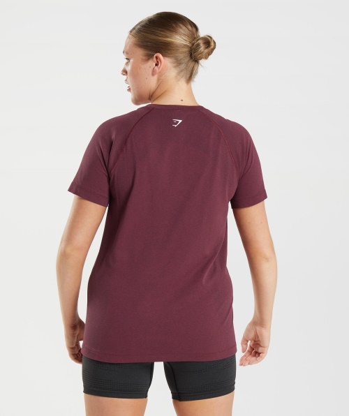 Gymshark Vital Seamless 2.0 Light T-shirt Assada Marrom Marl