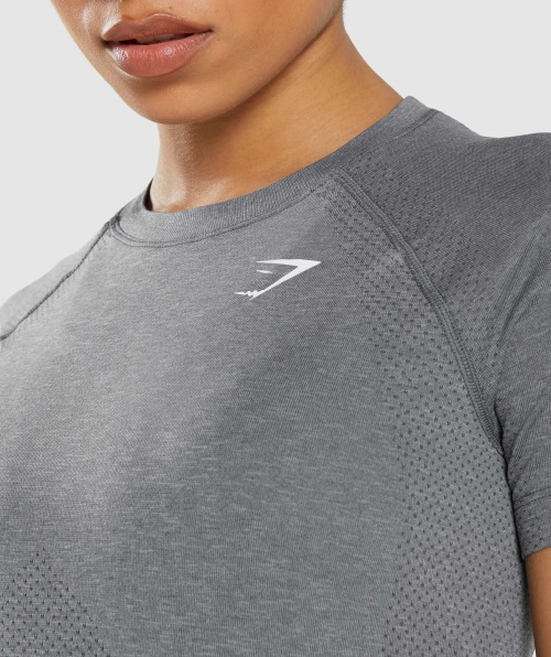 Gymshark Vital Seamless 2.0 Light T-shirt Smokey Grey Marl