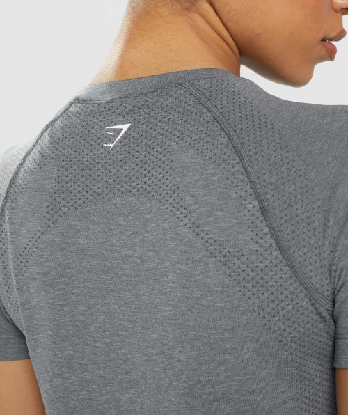 Gymshark Vital Seamless 2.0 Light T-shirt Smokey Grey Marl