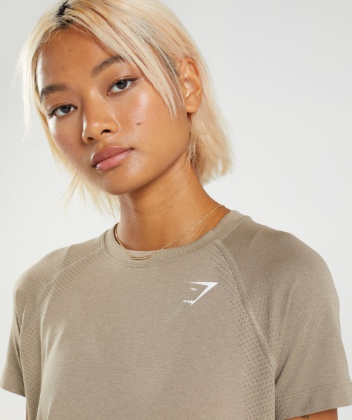 Gymshark Vital Seamless 2.0 Leve T-shirt Baunilha Marrom Marl