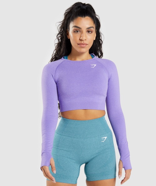 Gymshark Vital Seamless 2.0 Cropped Manga Longa Brilhante Roxo Marl