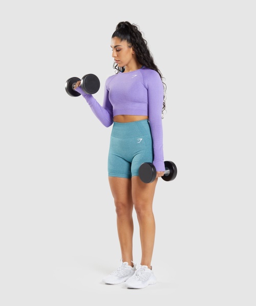 Gymshark Vital Seamless 2.0 Cropped Manga Longa Brilhante Roxo Marl