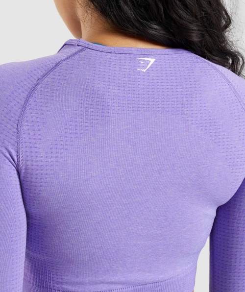 Gymshark Vital Seamless 2.0 Cropped Manga Longa Brilhante Roxo Marl
