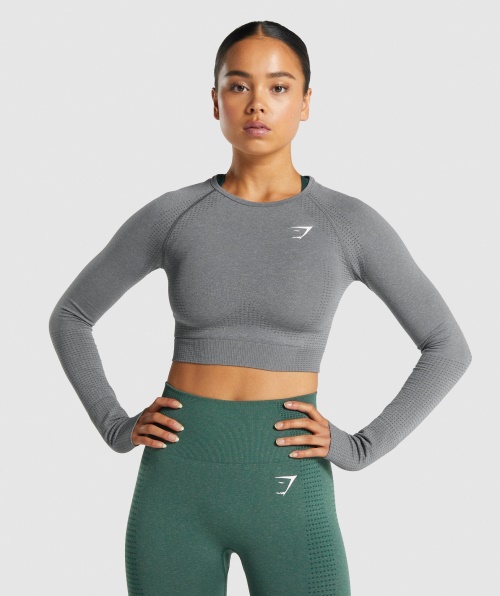 Gymshark Vital Seamless 2.0 Cropped Manga Longa Esfumado Cinza Marl