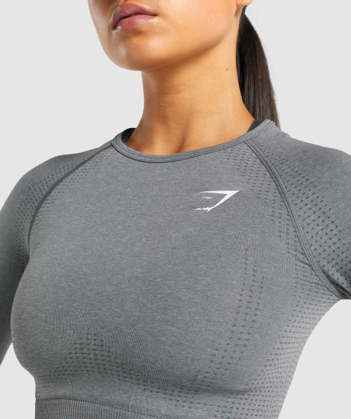 Gymshark Vital Seamless 2.0 Cropped Manga Longa Esfumado Cinza Marl