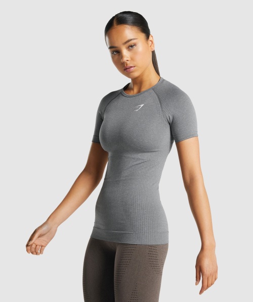 Gymshark Vital Seamless 2.0 T-shirt Smokey Grey Marl