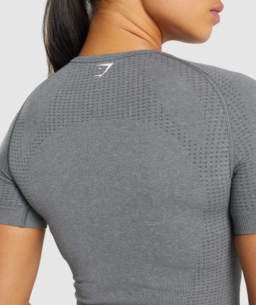 Gymshark Vital Seamless 2.0 T-shirt Smokey Grey Marl