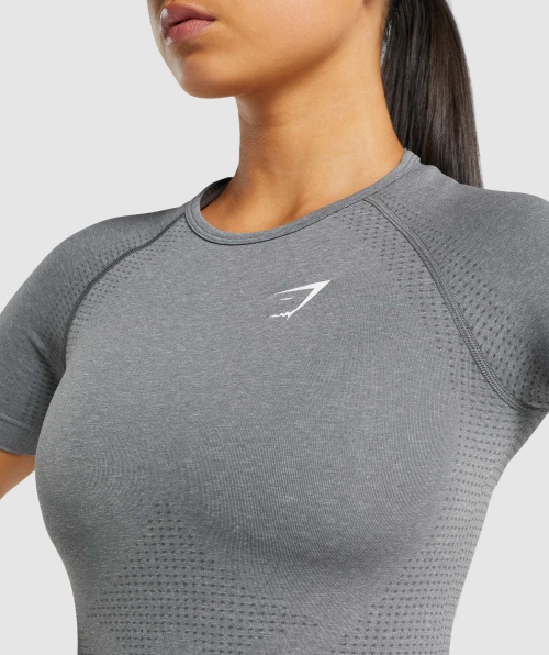 Gymshark Vital Seamless 2.0 T-shirt Smokey Grey Marl