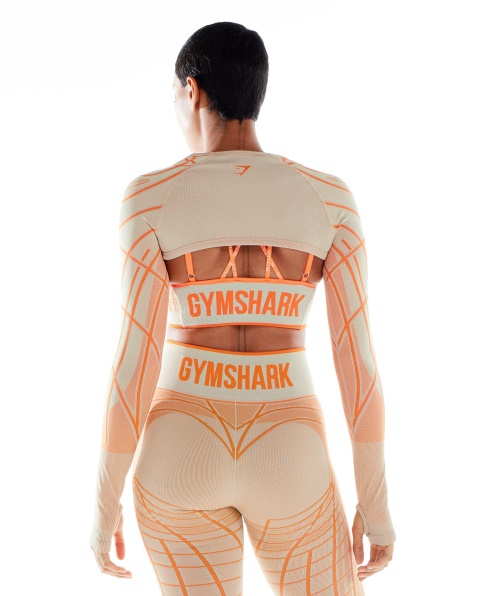 Gymshark Wtflex Linear Sem Costura Manga Longa Encolher Seixo Cinza-laranja-branco