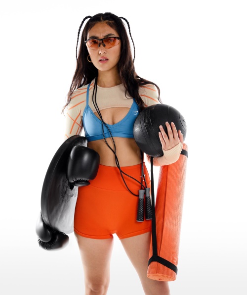 Gymshark Wtflex Linear Sem Costura Manga Longa Encolher Seixo Cinza-laranja-branco